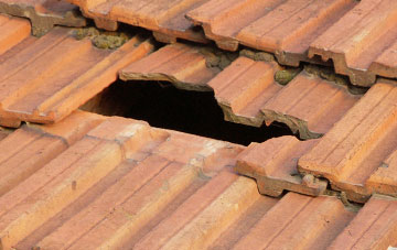 roof repair Bacheldre, Powys